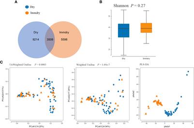 Comparison of the Ocular Microbiomes of Dry Eye Patients With and Without Autoimmune Disease